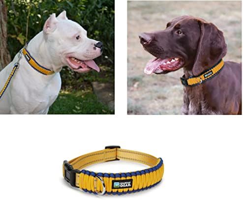 MPP Sarı Yansıtıcı Paracord Halat Moda Dayanıklı Güvenli Toka köpek tasması (12 ila 14 İnç)