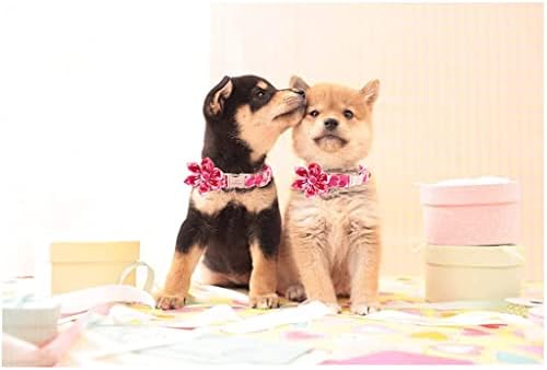 HFDGDFK Sevgililer Pembe Kalp köpek tasması papyon ile Çiçek köpek tasması Büyük Orta Küçük Köpek için (Renk: A, Boyut: